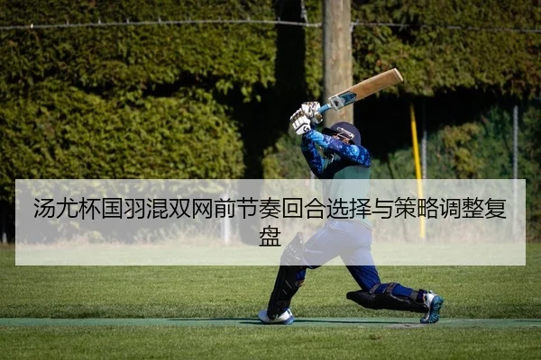 tang-you-bei-guo-yu-hun-shuang-wang-qian-jie-zou-hui-he-xuan-ze-yu-ce-lve-tiao-zheng-fu-pan-2-317.jpg