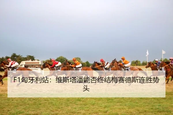 F1匈牙利站：维斯塔潘能否终结梅赛德斯连胜势头